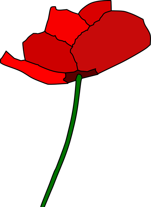 Poppy, Rose, Red - Cartoon Poppy Clipart (510x700), Png Download