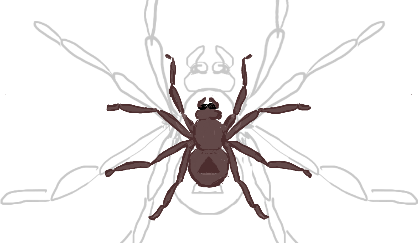 Storyfeather - Human Body Louse Clipart (1432x816), Png Download