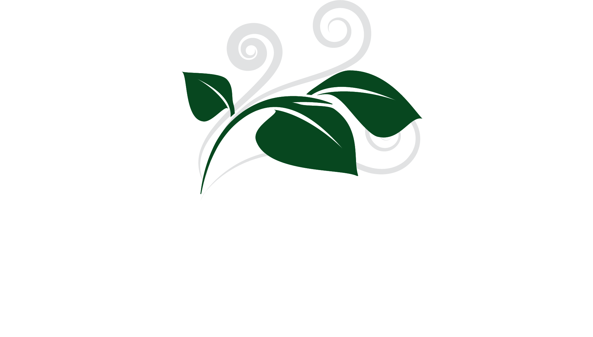 Ánemos Medical Consulting Clipart (1897x1078), Png Download