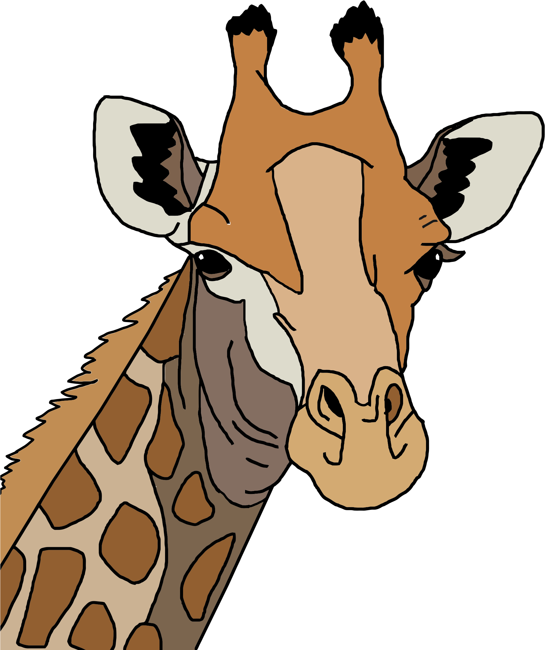 Colored Icons Png Free And Downloads - Giraffe Head Vector Free Clipart (1855x2212), Png Download