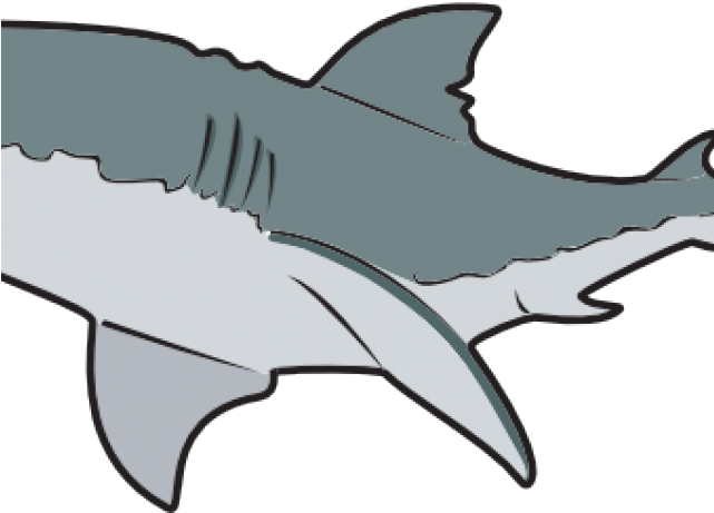Great White Shark Clipart Reef Shark - Great White Shark Mugs - Png Download (640x480), Png Download