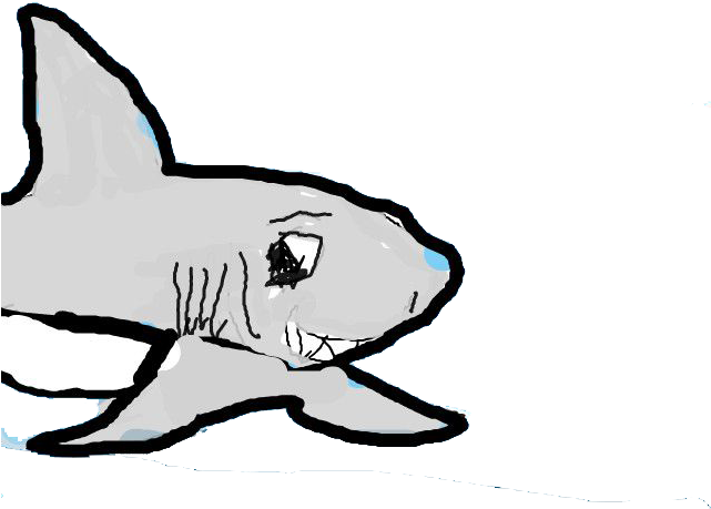 Banner Library Download Shark Clip Art - Library - Png Download (640x480), Png Download