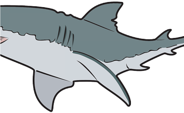 Great White Shark Clipart Angry - Great White Shark Mugs - Png Download (640x480), Png Download