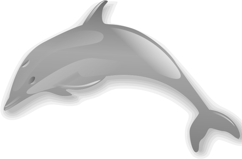 Dolphin Enrique Meza C 02 Clip Art Download - Dolphin .png Transparent Png (800x800), Png Download