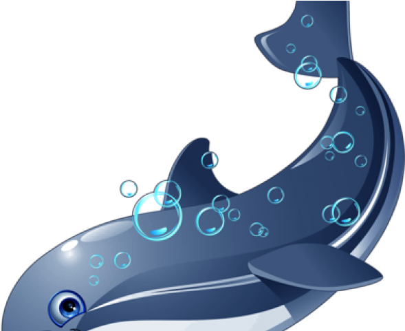 Bottlenose Dolphin Clipart Cartoon - Png Животные Transparent Png (640x480), Png Download