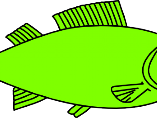 Big Fish Outline Clipart (640x480), Png Download