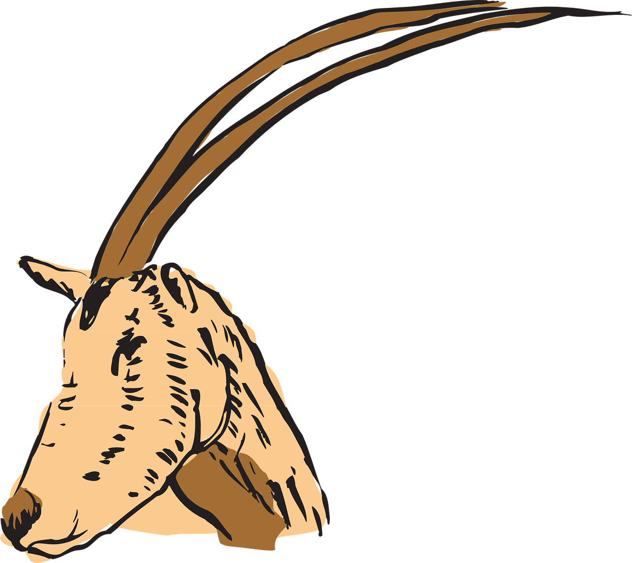 Cuernos En Antilope Clipart (640x570), Png Download