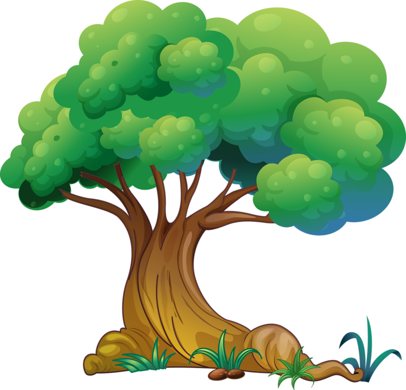 Clip Art Tree Unique Arbres Page 66 Tree Pinterest - Tree Cartoon .png Transparent Png (800x770), Png Download