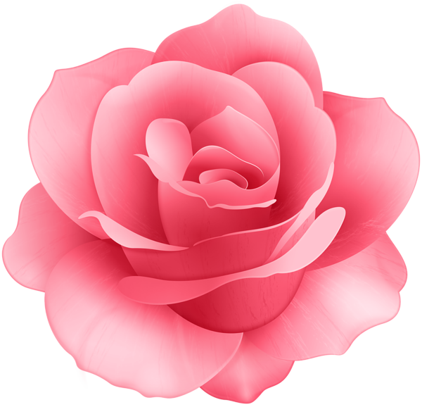 Rose Flower Clip Art Image - Pink Rose Flower Clip Art - Png Download (600x578), Png Download