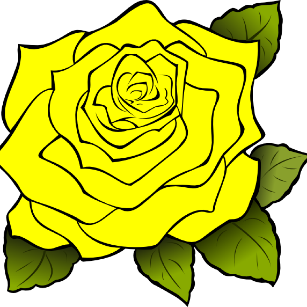 Yellow Rose Clipart Yellow Rose Clipart Yellow Rose - Clipart White Rose Transparent Background - Png Download (1024x1024), Png Download