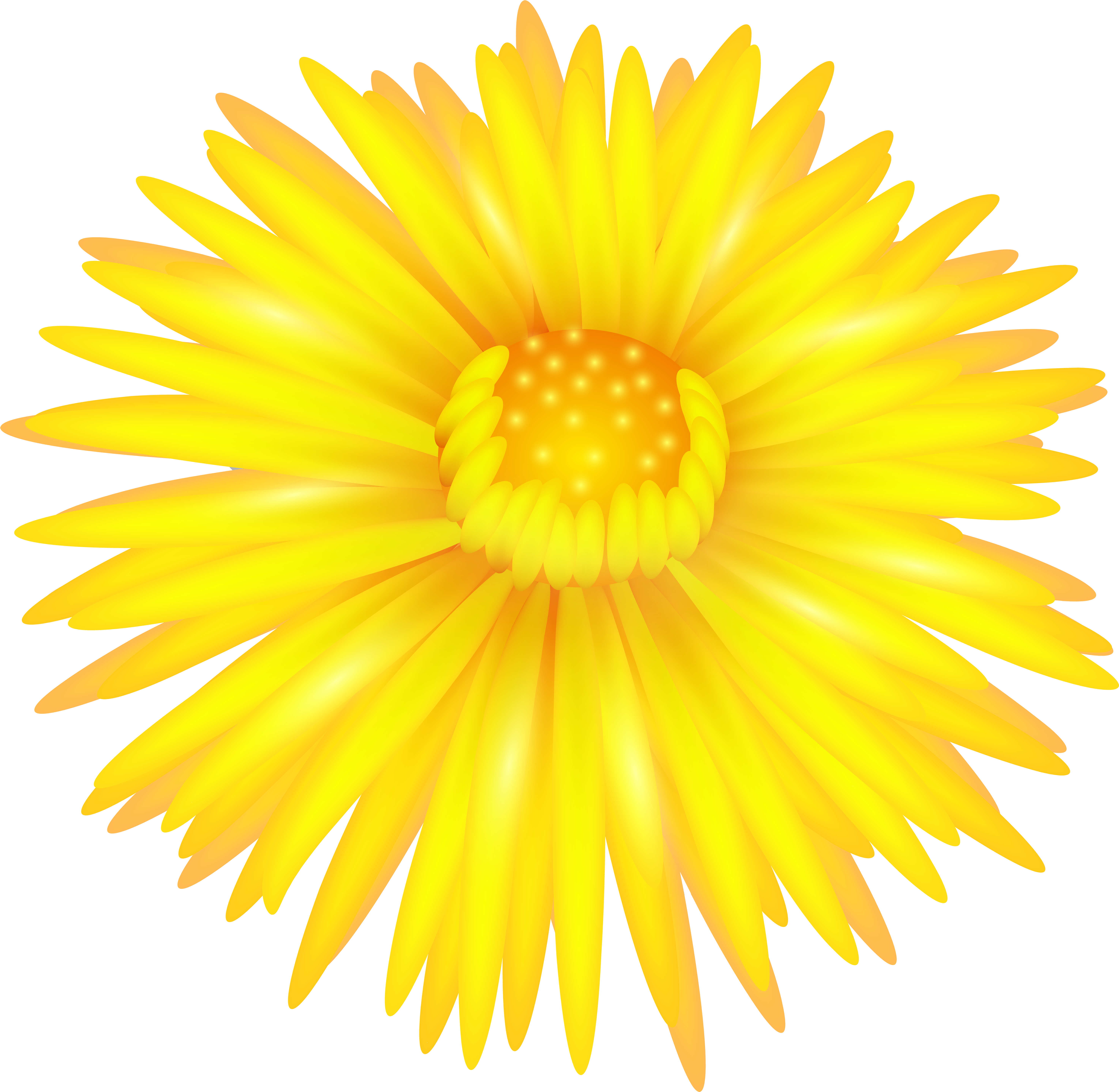 Board Of Higher Secondary Open Education Delhi Clipart (6000x5854), Png Download