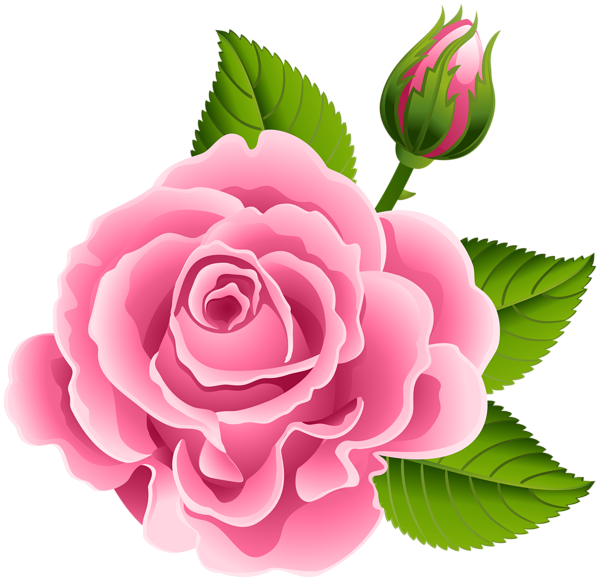 Pink Rose With Rose Bud Png Clip Art Image - Clip Art Transparent Png (600x581), Png Download