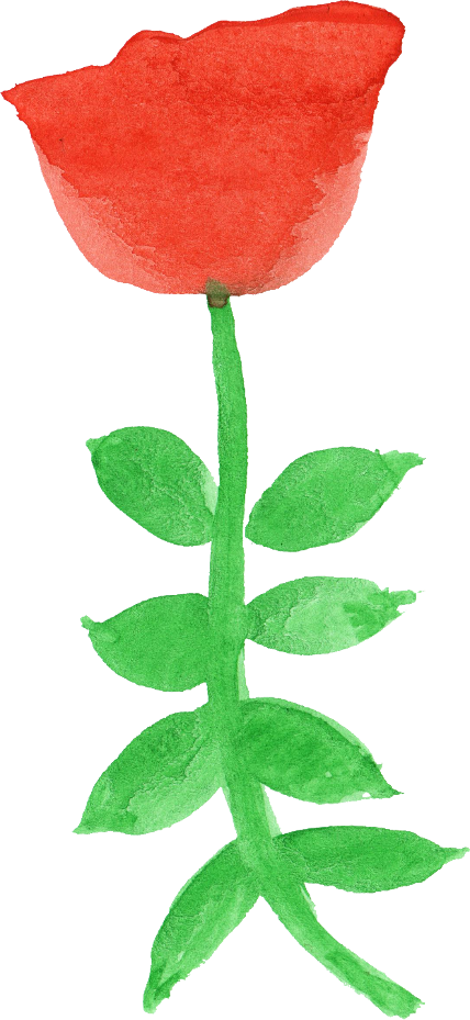 Free Download - Garden Roses Clipart (428x929), Png Download