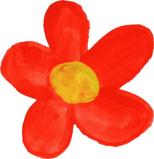 Free Download - Dicotyledon Clipart (625x646), Png Download