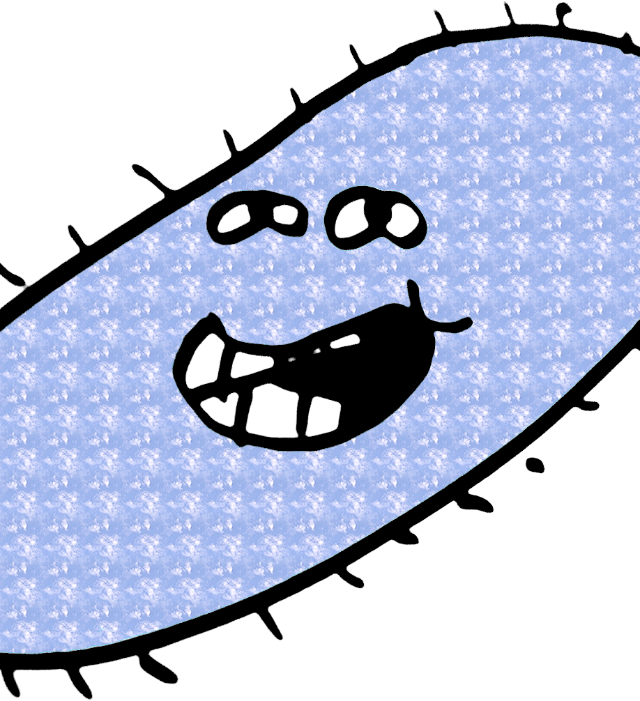 Kb, 918x1006, Bactlelria ) Clipart (918x1006), Png Download