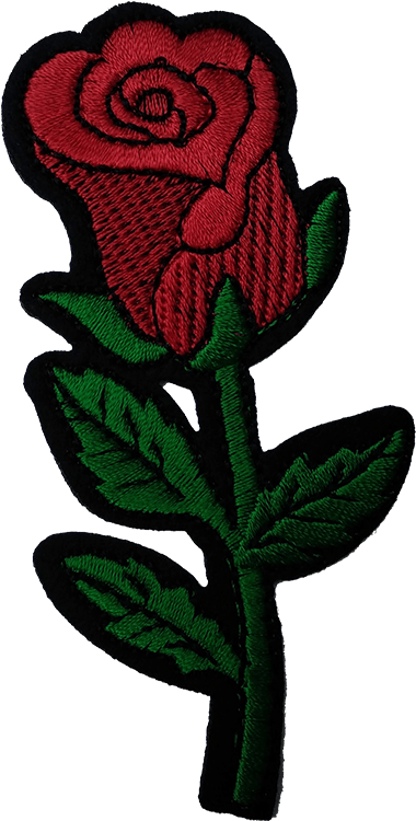 Czerwona - Garden Roses Clipart (1000x750), Png Download