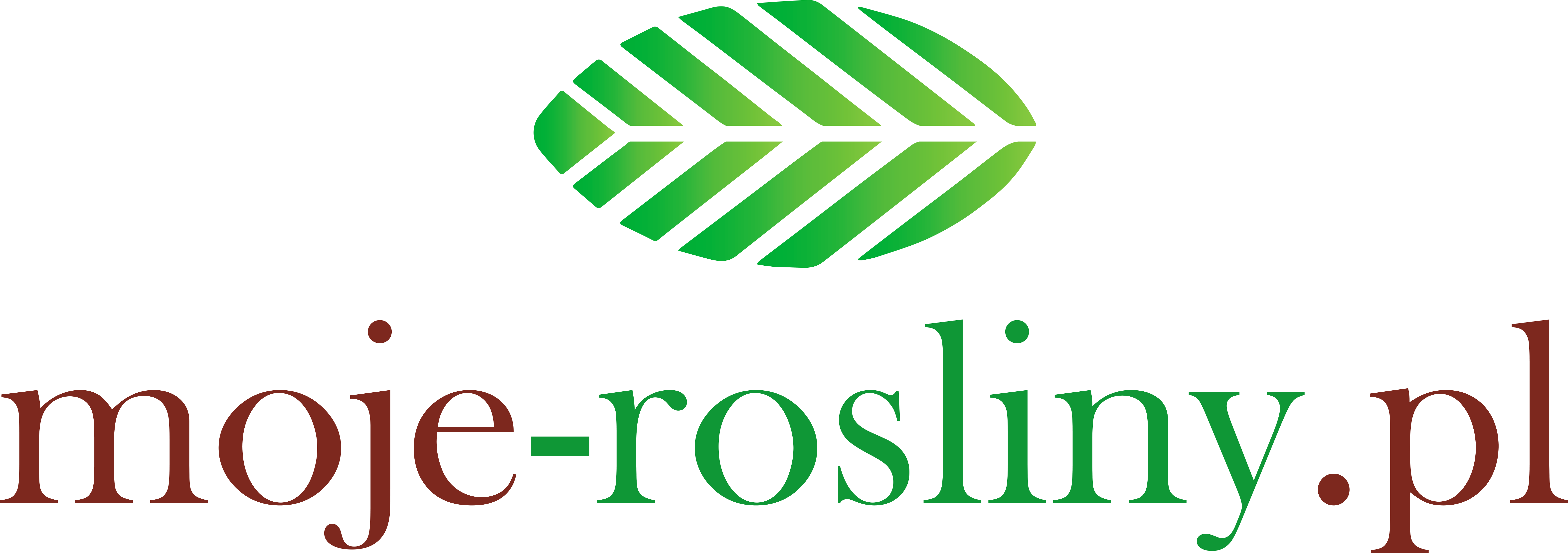 Moje Rośliny - Love Zayn Clipart (6281x2217), Png Download