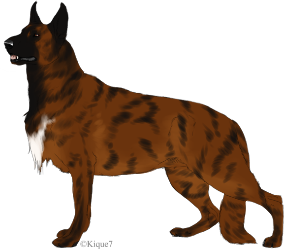 German Shepherd Puppies, Moose Art - Great Dane Clipart (640x522), Png Download