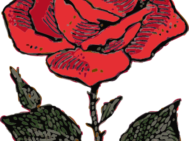 Pink Rose Clipart Mawar - Rose Cartoon - Png Download (640x480), Png Download