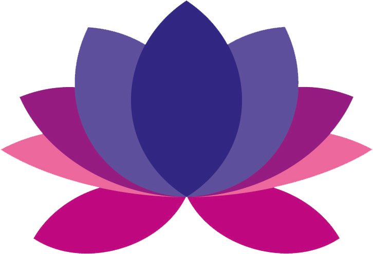 Yoga Transparent Lotus Flower - Tulipa Humilis Clipart (827x591), Png Download