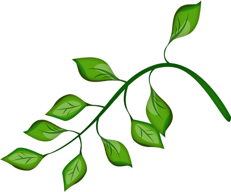 Фото, Автор Cutepictures На Яндекс - Flower Clipart (800x667), Png Download