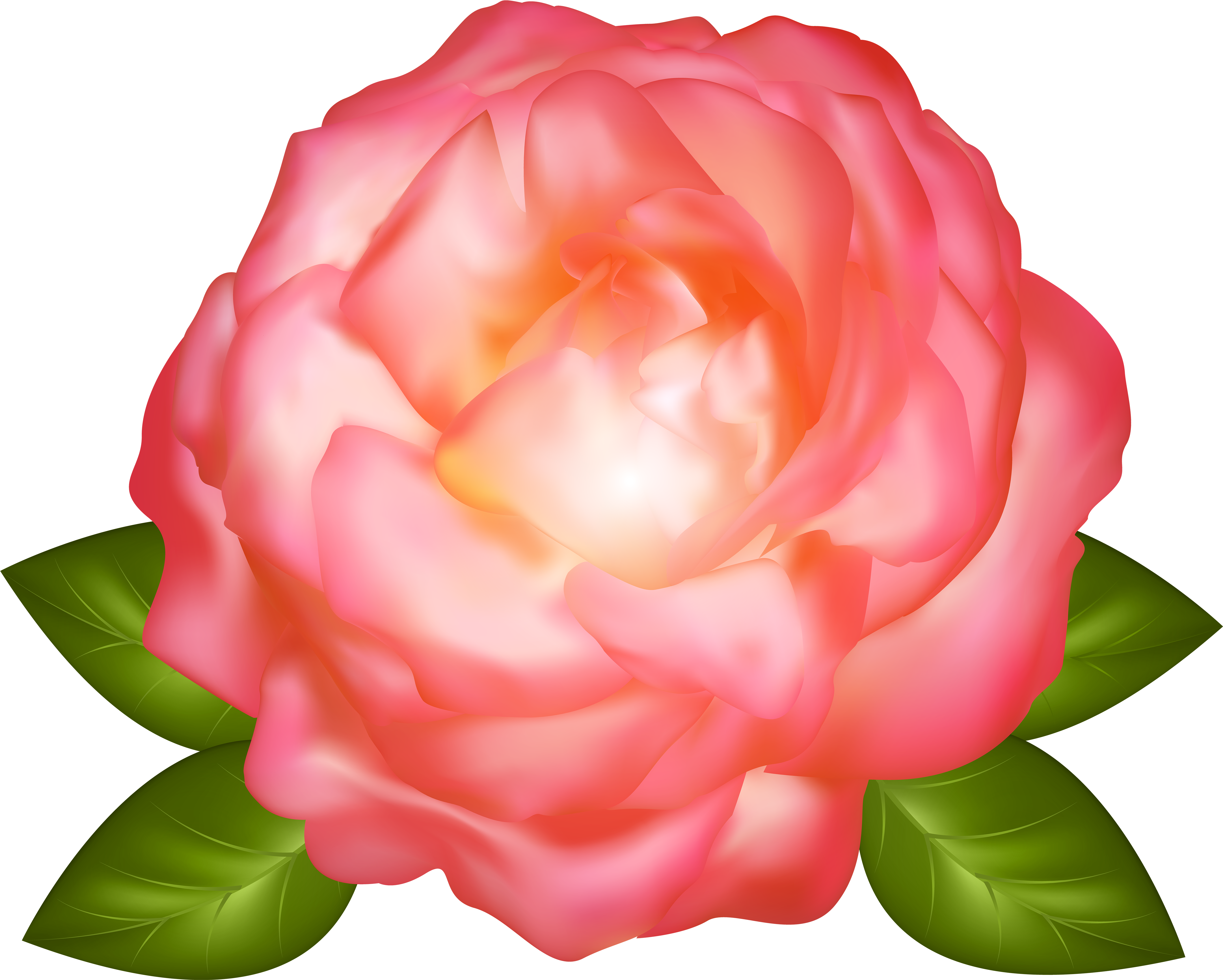 Rose Clipart (5000x4007), Png Download