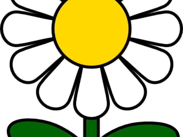 Cliparts Free Download Clip Art Carwad Net - Daisy Clip Art - Png Download (640x480), Png Download