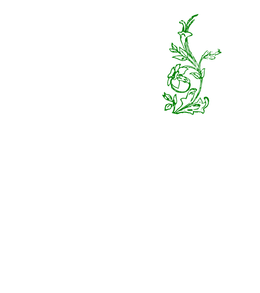 Flower Vine T Clip Art At Clker - Clip Art - Png Download (558x598), Png Download