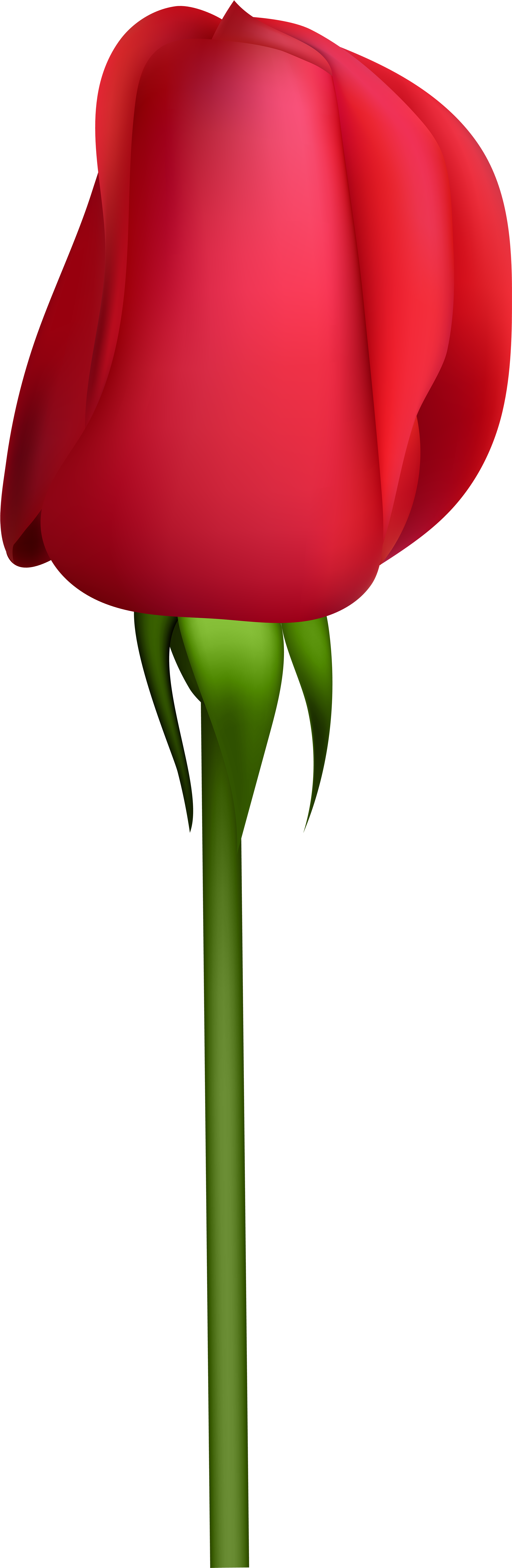 Bud Clipart - Png Download (2658x8000), Png Download