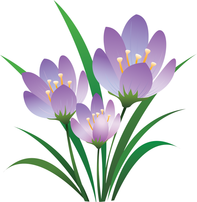 Art Pictures, Rose, Color Mixing, Beautiful Flowers, - Eid Ul Fitr 2018 Quotes Clipart (670x687), Png Download