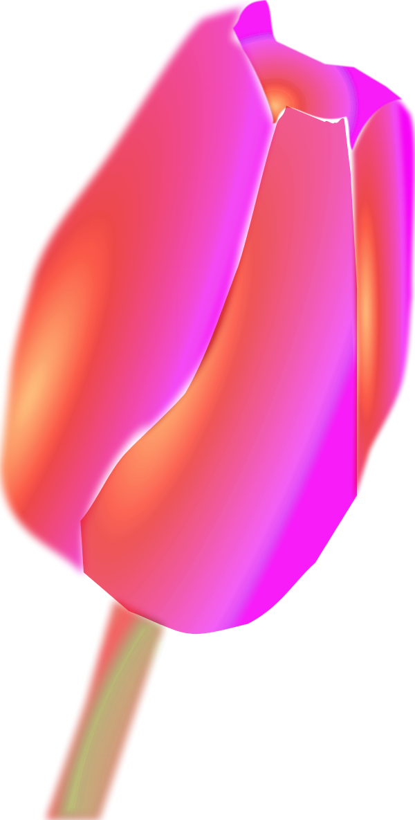 Vector Clip Art - Flower - Png Download (600x1185), Png Download