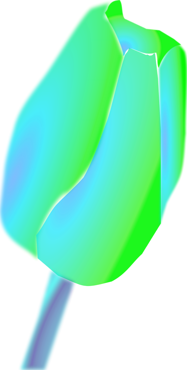 Vector Clip Art - Tulip - Png Download (600x1185), Png Download