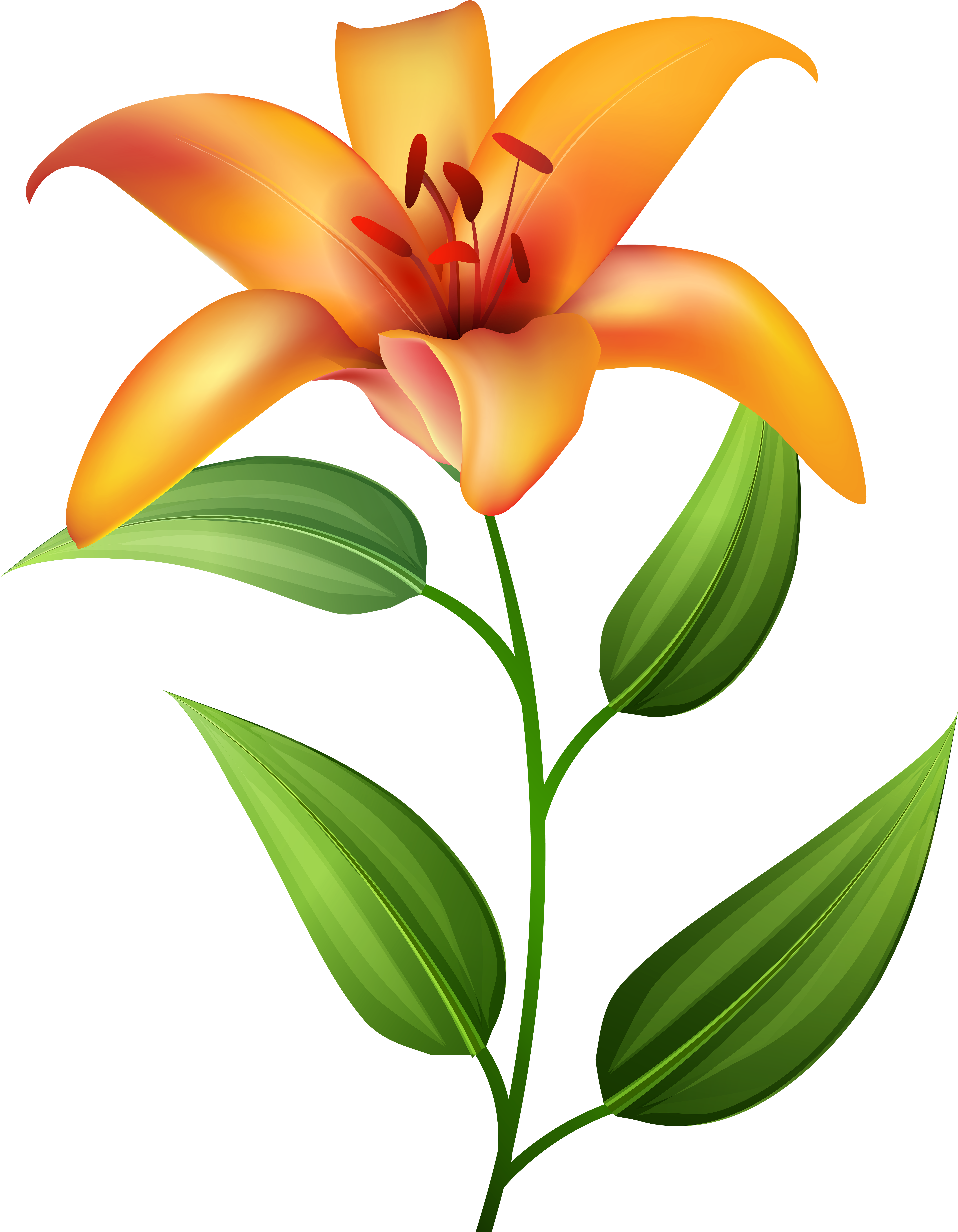 View Full Size Clipart (6243x8000), Png Download