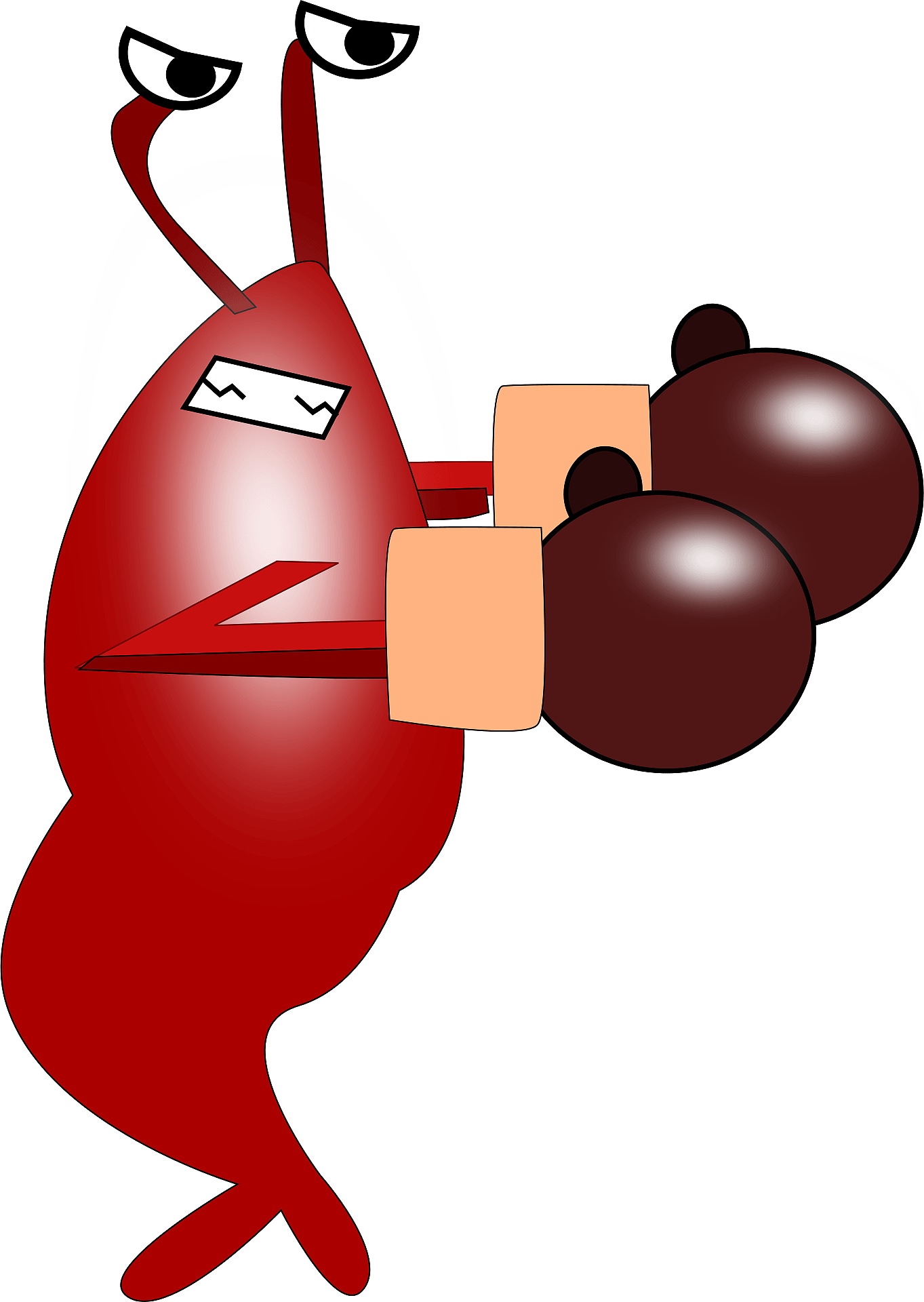Vector Graphics - Shrimp With Boxing Gloves Clipart (500x704), Png Download