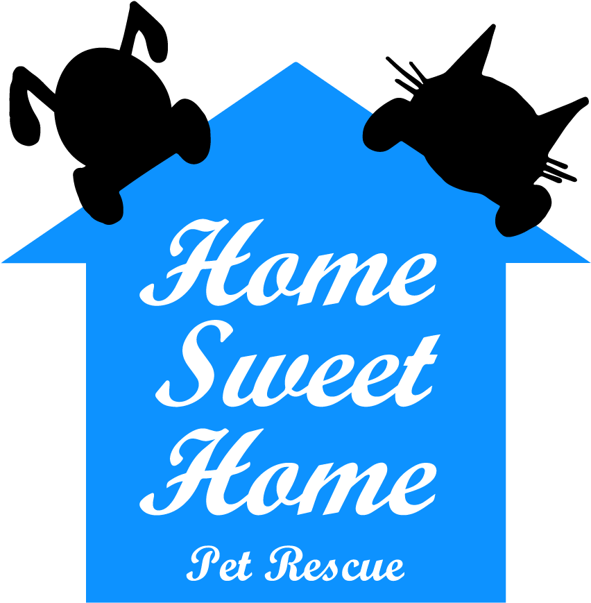 Home Sweet - Heilen Mit Propolis By Eva Marbach 9783938764121 (paperback) Clipart (1000x1019), Png Download