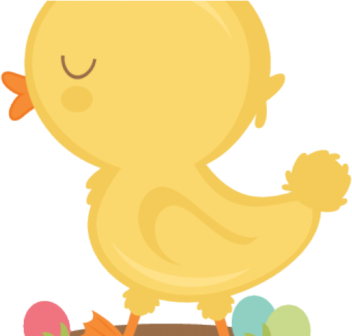 Baby Chick Clipart - Cartoon - Png Download (640x480), Png Download