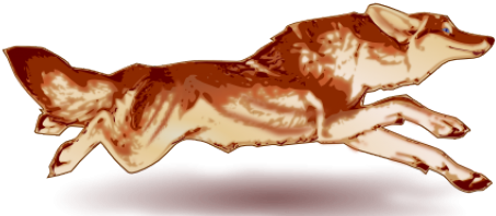 Star Fox Clipart - Fox Clip Art - Png Download (640x480), Png Download