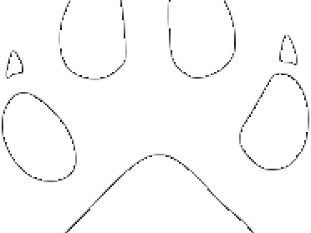 White Wolf Clipart Public Domain - Logo - Png Download (640x480), Png Download