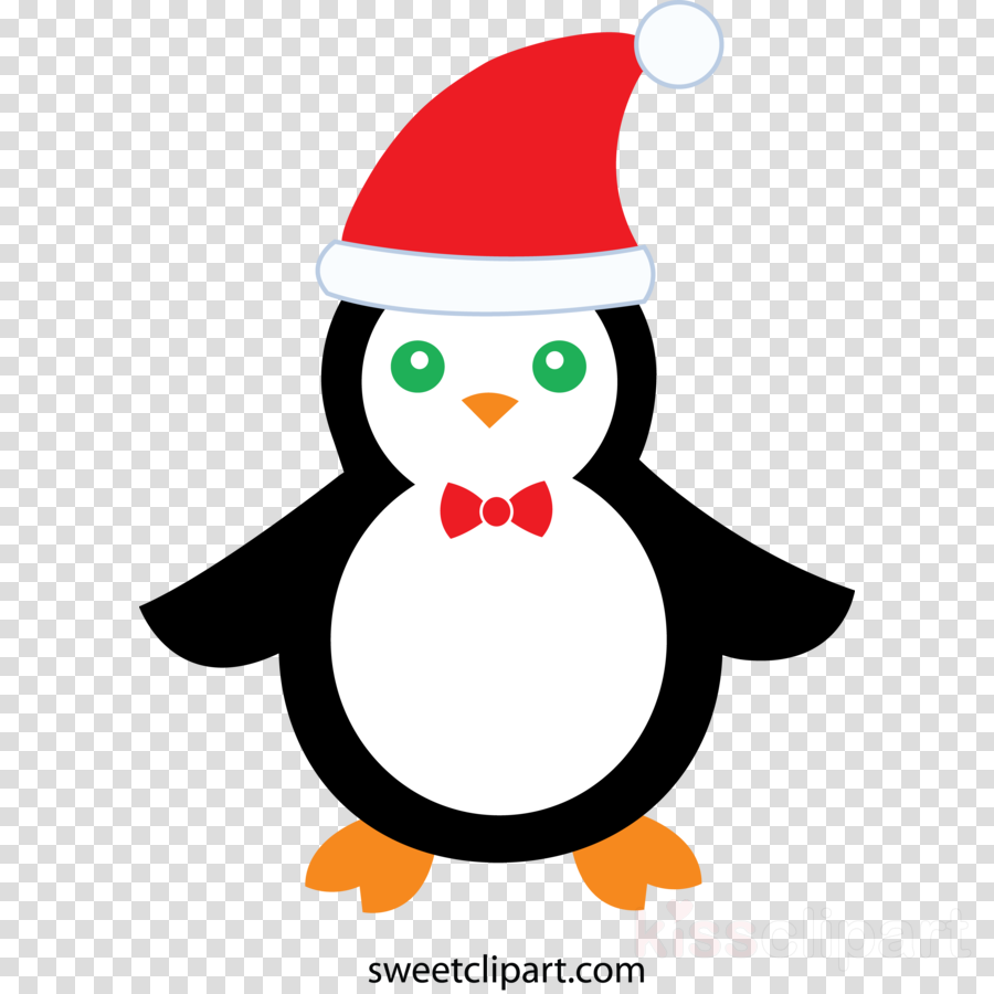 Christmas Penguin Cute Clipart Santa Claus Penguin - Clip Art - Png Download (900x900), Png Download