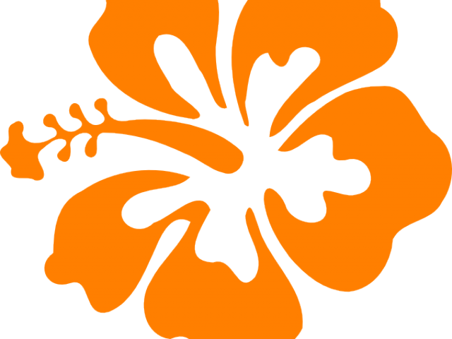 Orange Flower Clipart Hibiscus - Hawaiian Flowers Clip Art No Background - Png Download (640x480), Png Download
