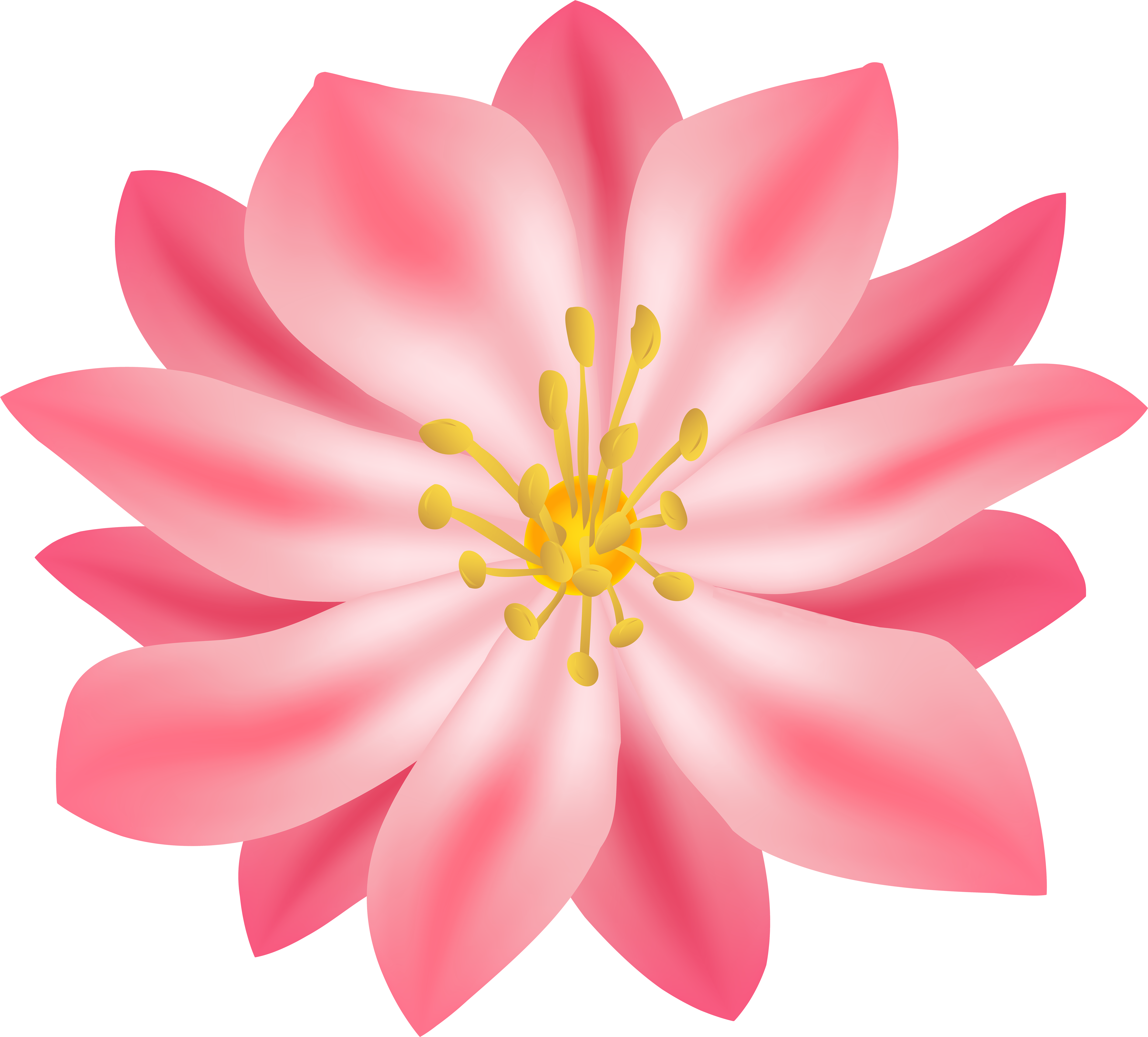 Lily Clipart (6000x5436), Png Download