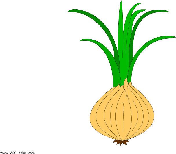 Image Free Onion Raster Clipart - Цибуля Кліпарт - Png Download (822x567), Png Download