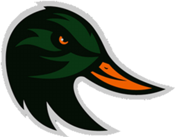 Taylor Ducks Logo Clipart (640x480), Png Download