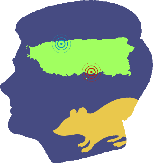 Legacy 20th Anniversary Quirk Lab E1501879197406 Clipart (705x940), Png Download