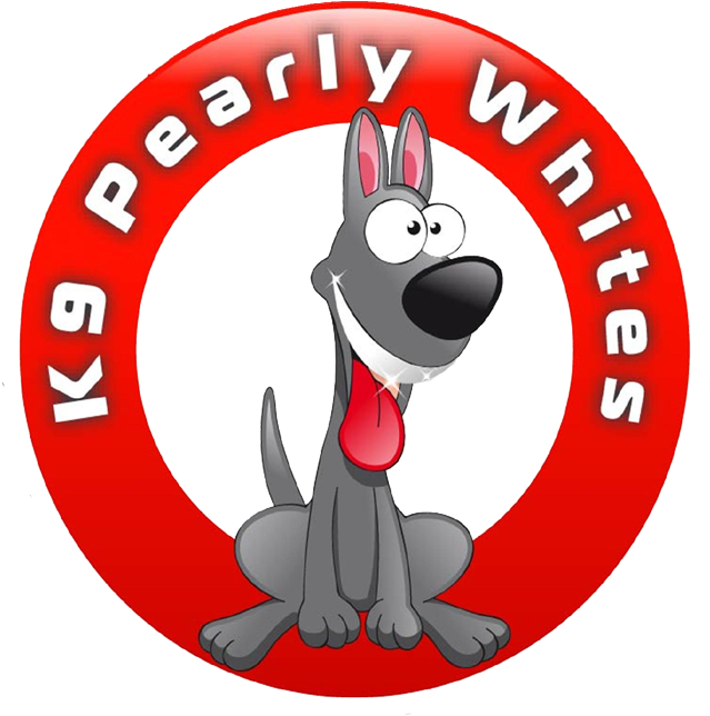 Dogs Don't Get Cavities The Way Humans Do, But They Clipart (700x679), Png Download