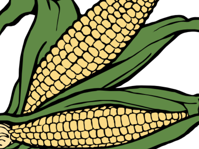 Corn Clipart Sack - Corn Clip Art - Png Download (640x480), Png Download