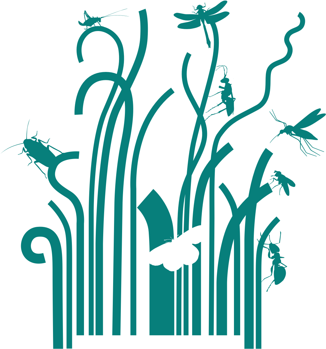 Clip Art - Png Download (1052x1126), Png Download