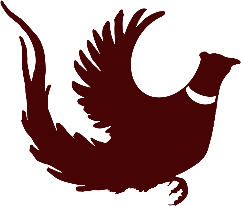 Longtail Rooster Pheasant, Pheasant Hunting Decal - Chicken Clipart (1024x1024), Png Download