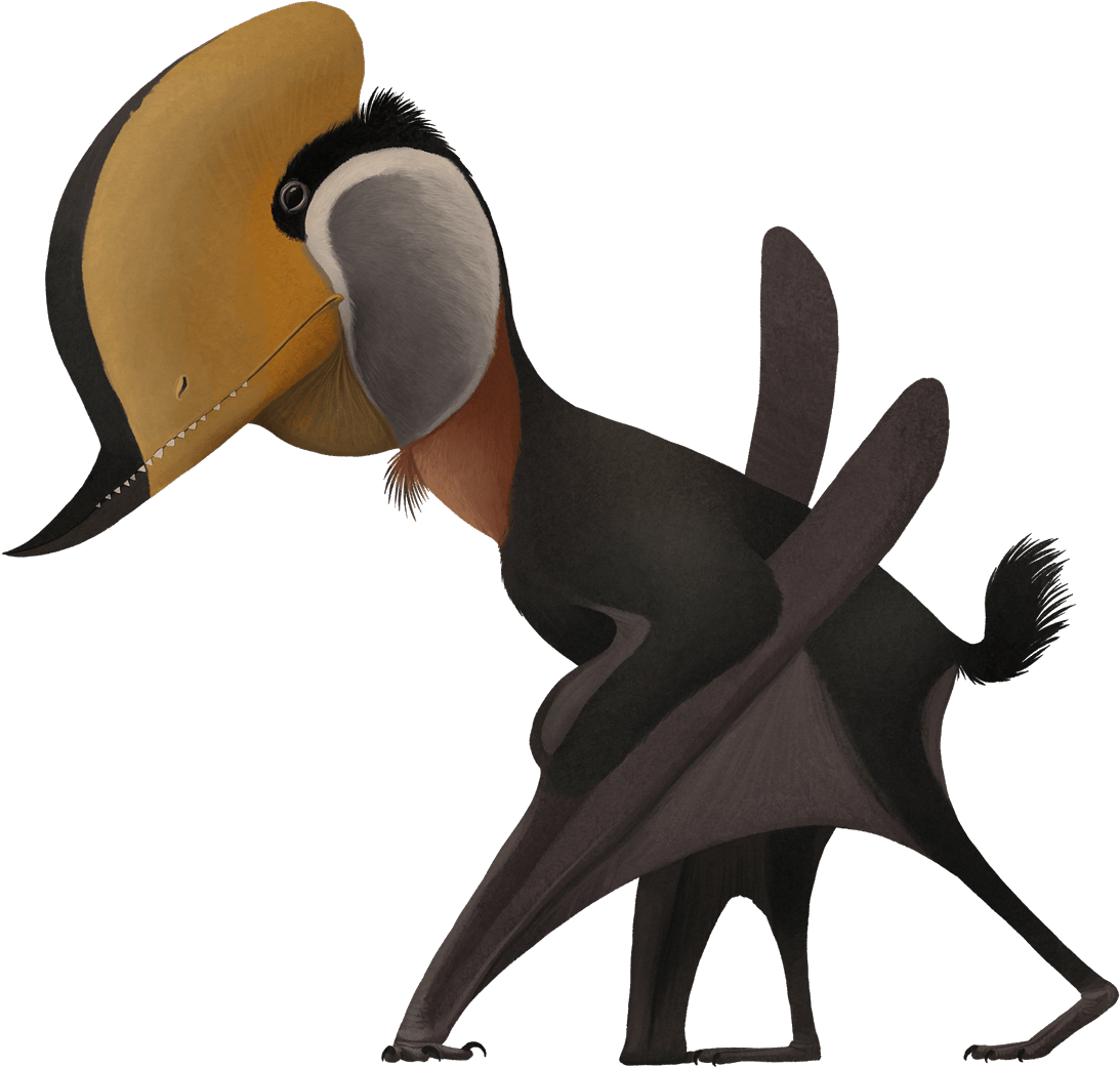 Most Members Of Its Family Hail From Asia, But Paleontologists - Cartoon Clipart (1200x1144), Png Download