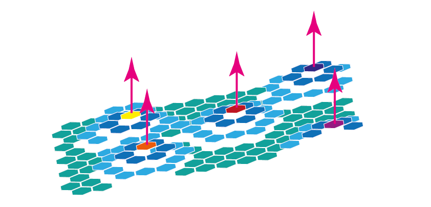 And The Winner Is Clipart (842x404), Png Download